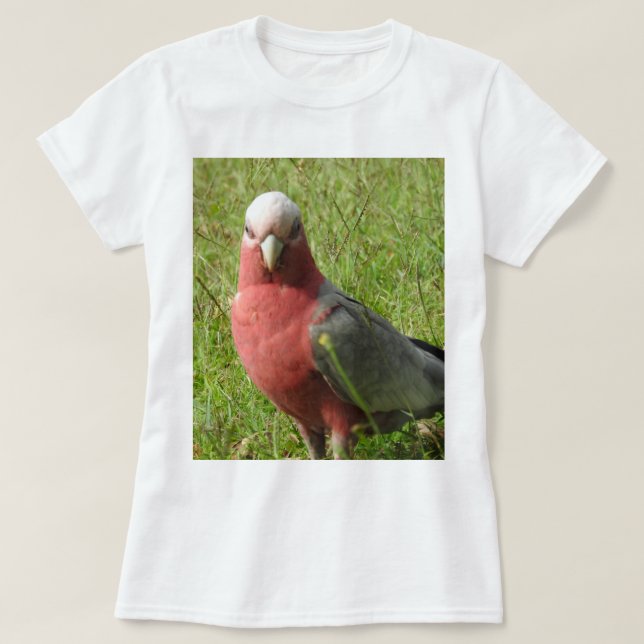 Camiseta T-shirt de Galah (Frente do Design)