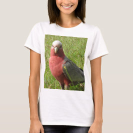 Camiseta T-shirt de Galah