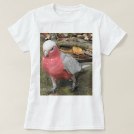 Camiseta T-shirt de Galah