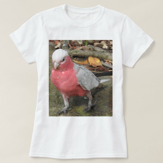 Camiseta T-shirt de Galah (Frente do Design)