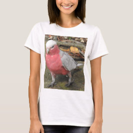Camiseta T-shirt de Galah