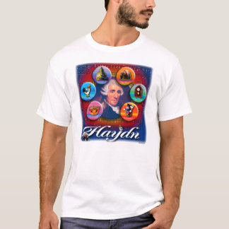 CAMISETA T-SHIRT DE HAYDN