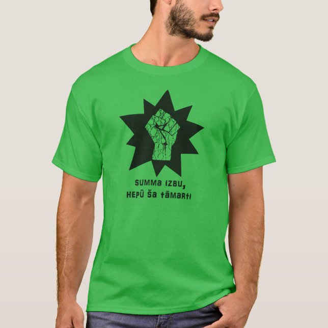 Camiseta T-shirt de Izbu do Summa (Frente)