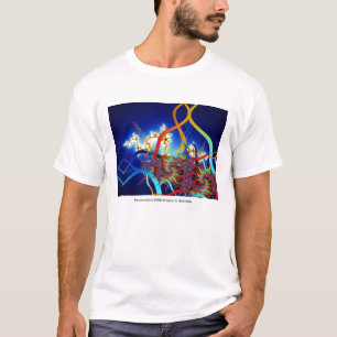 Camiseta T-shirt de Paramoosium