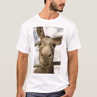 Camiseta T-shirt de sorriso do Burro
