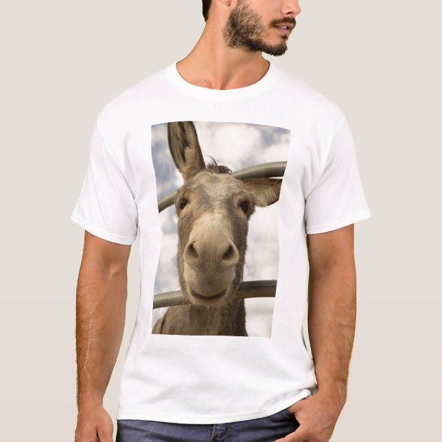Camiseta T-shirt de sorriso do Burro (Frente)