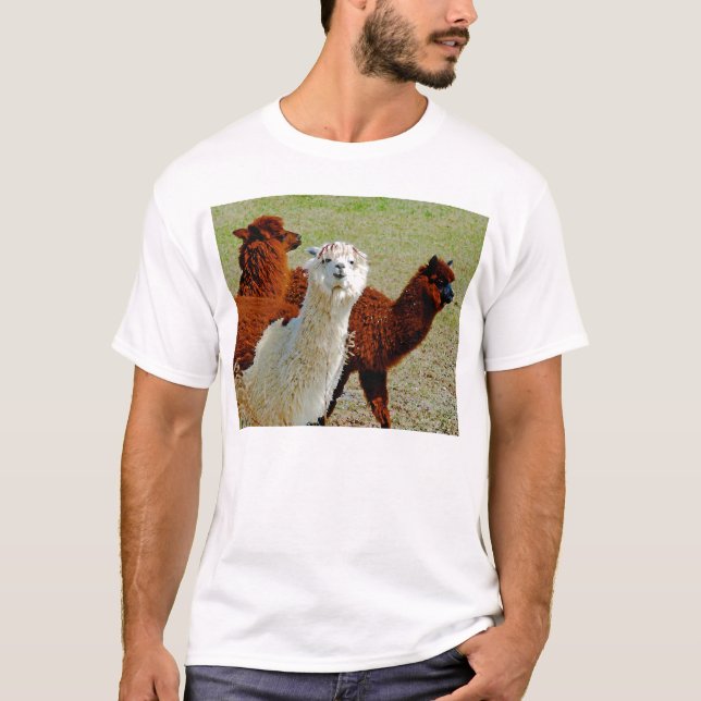Camiseta T-shirt de três lamas (Frente)