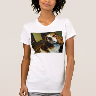 Camiseta T-shirt descuidados do Spaniel de rei Charles