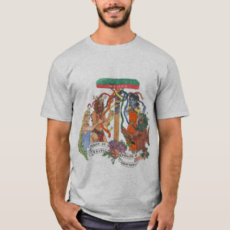 Camiseta T-Shirt do Círculo Sul da Rua