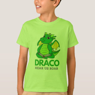 Camiseta t-shirt do Draco juvenil