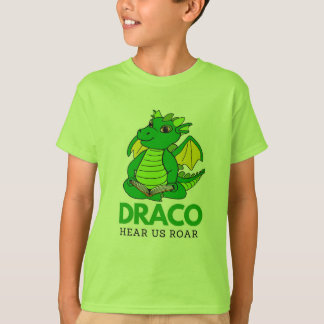 Camiseta t-shirt do Draco juvenil