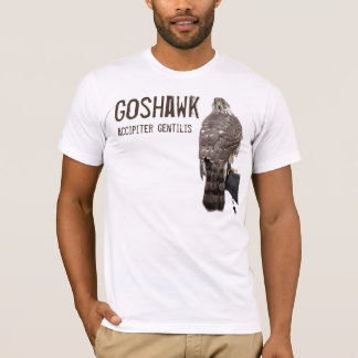 Camiseta T-shirt do Goshawk