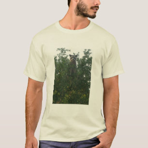 Camiseta T-shirt do guaxinim