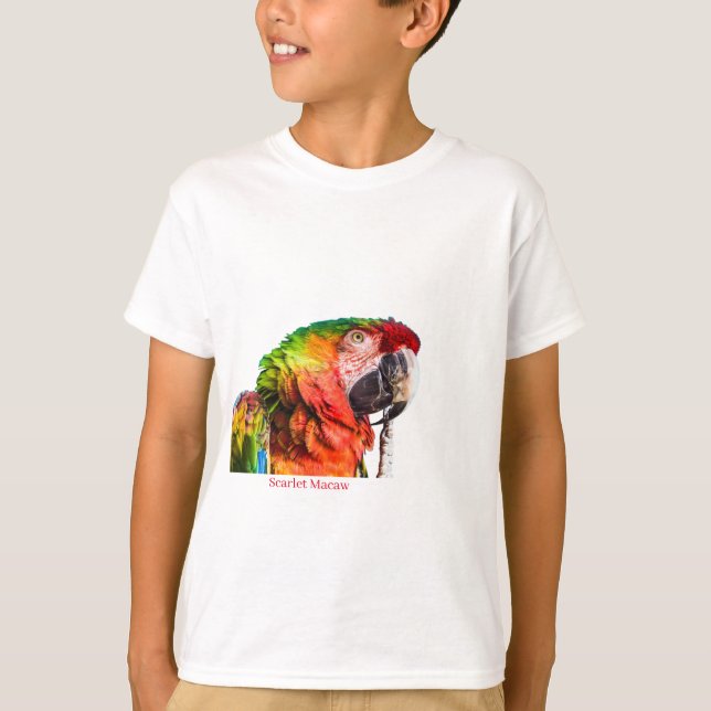 Camiseta T-Shirt do Menino (Frente)
