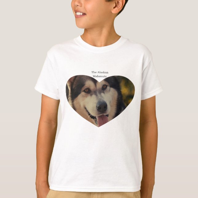 Camiseta T-Shirt do Menino (Frente)
