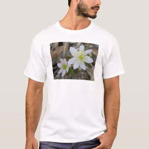 Camiseta T-shirt do miúdo da criança dos pares da anêmon