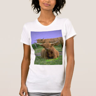 Camiseta T-shirt do Montanhas-Gado