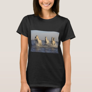Camiseta T-shirt do rebanho 