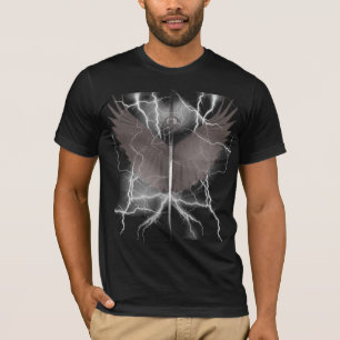 Camiseta t-shirt do sagrado-relâmpago
