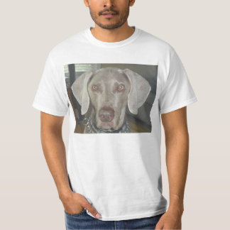 Camiseta t-shirt do weimaraner