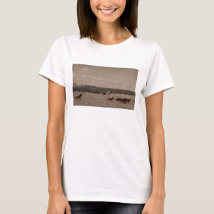 Camiseta T-shirt dos cavalos selvagens