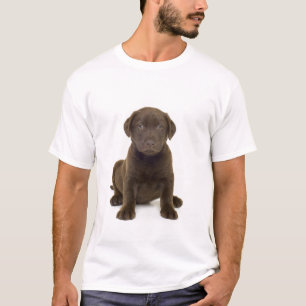 Camiseta T-shirt dos homens de Labrador do chocolate