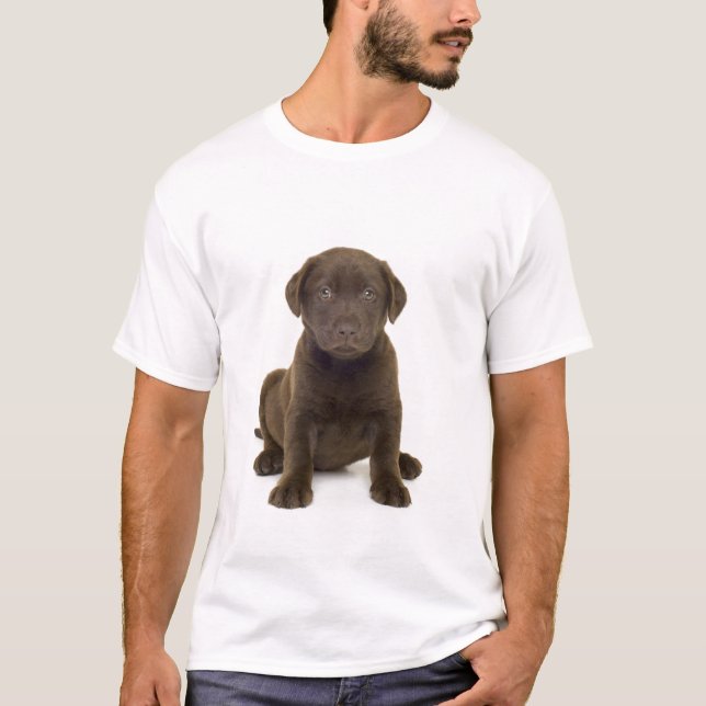 Camiseta T-shirt dos homens de Labrador do chocolate (Frente)