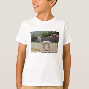 Camiseta T-shirt engraçado da alpaca