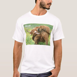 Camiseta T-shirt engraçado da vaca de Aberdeen Angus
