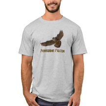 T-Shirt Falcon Peregrine