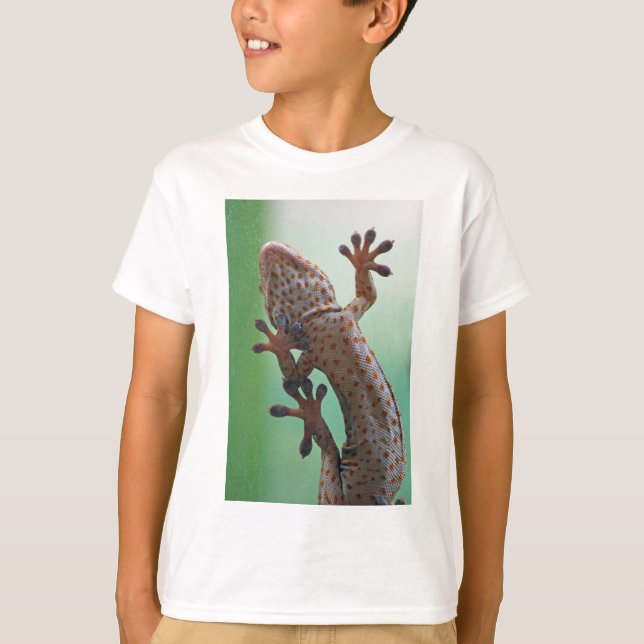 Camiseta T-shirt Gecko (Frente)