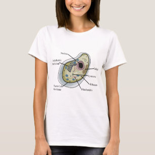 Camiseta T-shirt humanos da biologia celular