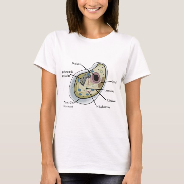 Camiseta T-shirt humanos da biologia celular (Frente)