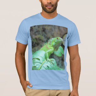 Camiseta T-Shirt iguana verde