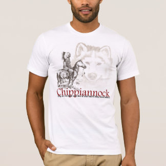 Camiseta T-shirt indiano americano não estão inoperantes