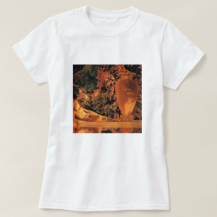 Camiseta T-shirt: Jardim de Allah Maxfield Parrish