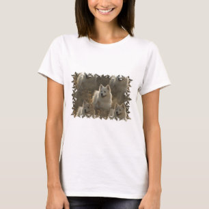Camiseta T-shirt longo da Capa da raça do cão do Samoyed