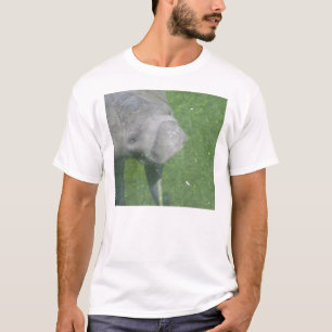 Camiseta T-shirt Manatee Smile
