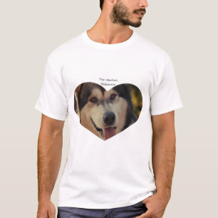 Camiseta T-Shirt masculino