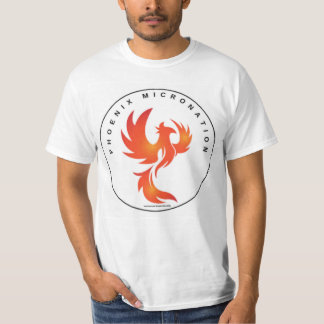 Camiseta T-Shirt masculino