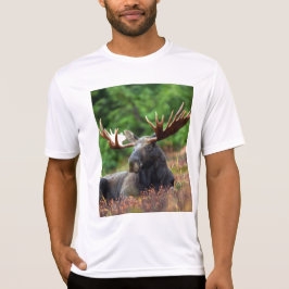 Camiseta T-Shirt Moose
