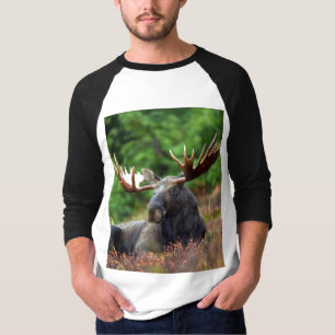 Camiseta T-Shirt Moose