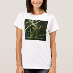 Camiseta T-shirt (mulher) com sapo verde mimético