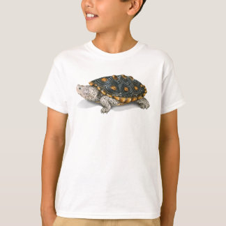 Camiseta T-shirt ornamentado da tartaruga de água doce de