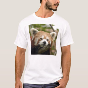 Camiseta T-shirt Panda-014 vermelho