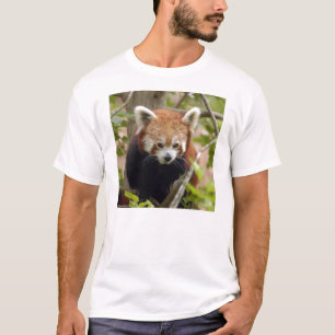 Camiseta T-shirt Panda-023 vermelho