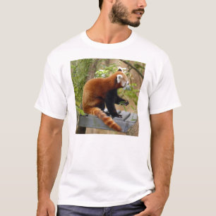 Camiseta T-shirt Panda-037 vermelho