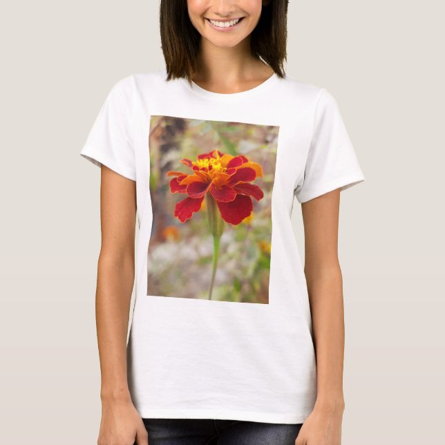 Camiseta T-Shirt para o Buy Ledy (Frente)