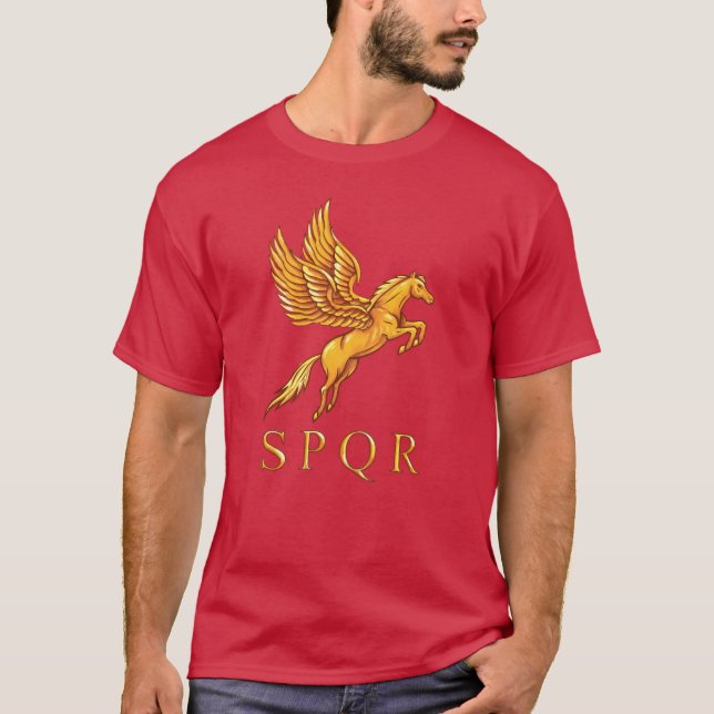 Camiseta T-shirt romano do gráfico de Pegasus (Frente)