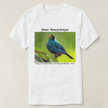 T-shirt verde de Honeycreeper
